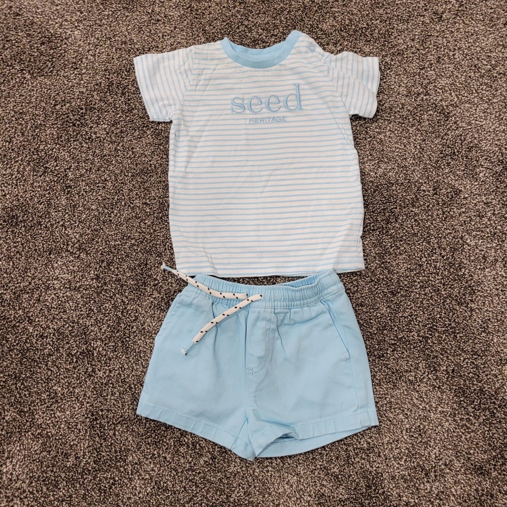 Seed Heritage Baby Blue Stripe T Shirt and Shorts Set 3-6 Months